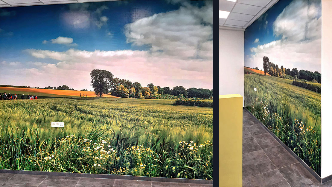 Indywidualna fototapeta na ścianie belgijskiego ratusza